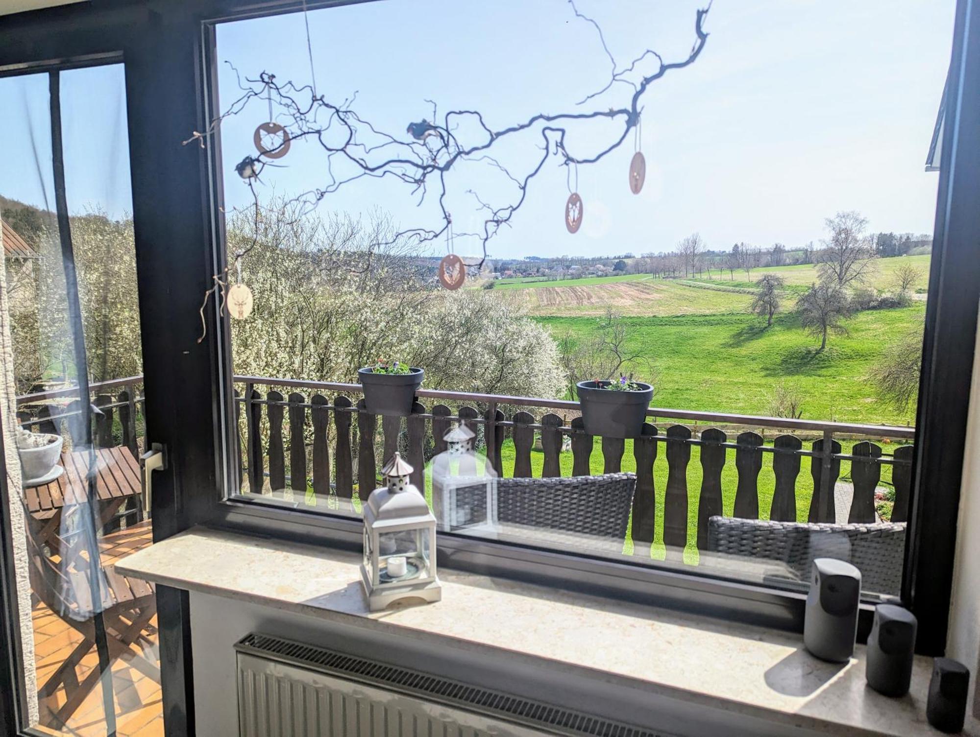 Ferienwohnung Christine Mit Sauna Und Whirlpool Utzerath Buitenkant foto